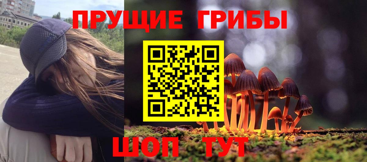 Галлюциногенные грибы прущие грибы  Вход с VPN  Дедовск 